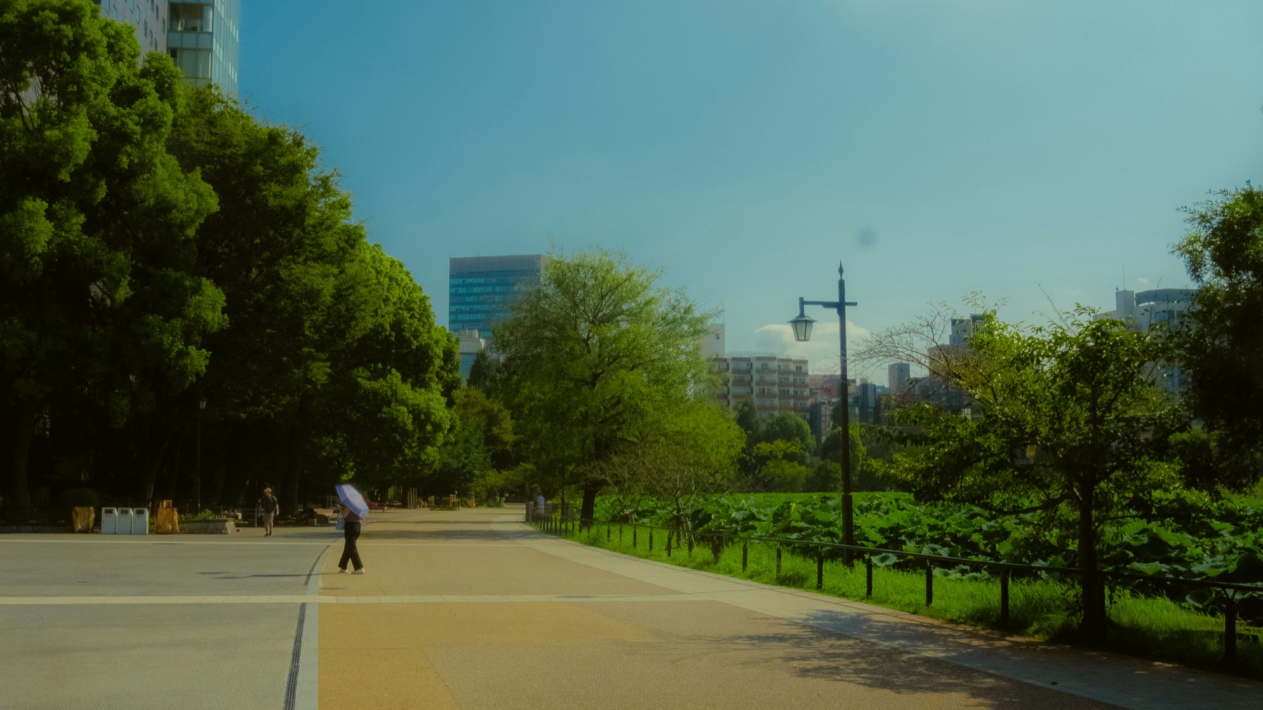 緑のある公園を散策する人